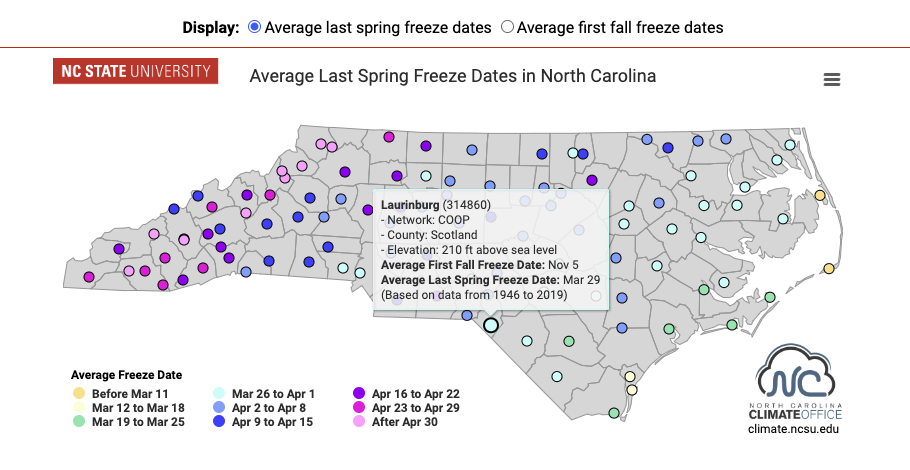 Average last spring freeze dates in North Carolina. The Map shows that in Scotland County the Average first freeze is November 5, and the Last Spring Freeze is March 29.